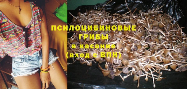 mdma Дмитров