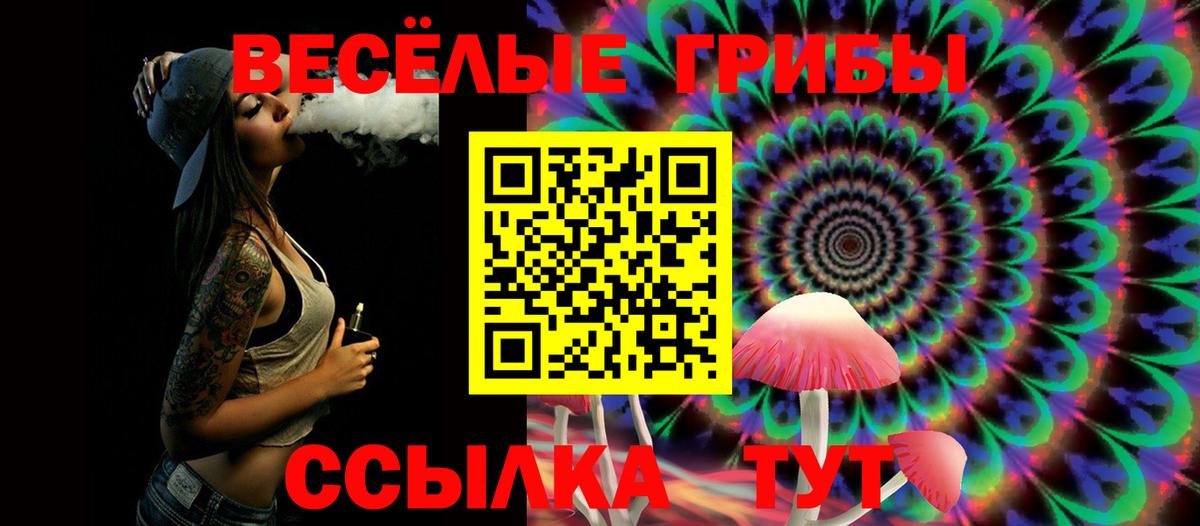 Рузаевка  Галлюциногенные грибы ЛСД  Псилоцибиновые грибы Psilocybine cubensis  Вход с VPN 