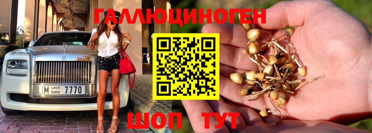 Псилоцибиновые грибы мицелий Рузаевка